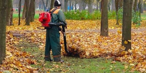 Usisivač za lišće